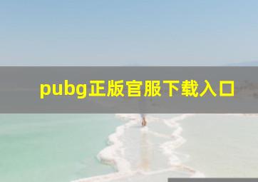 pubg正版官服下载入口