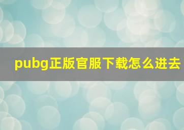 pubg正版官服下载怎么进去