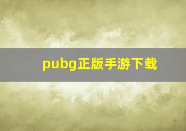 pubg正版手游下载