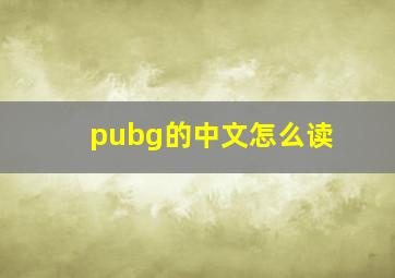 pubg的中文怎么读