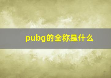 pubg的全称是什么