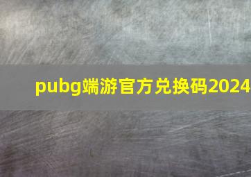 pubg端游官方兑换码2024