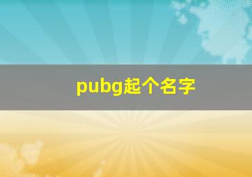 pubg起个名字