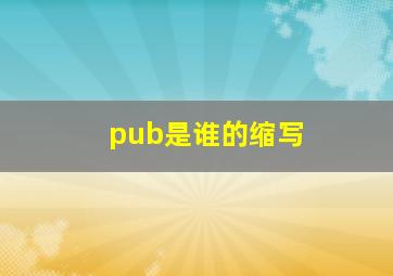 pub是谁的缩写