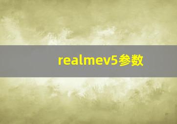 realmev5参数