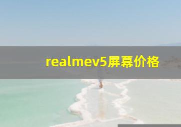 realmev5屏幕价格