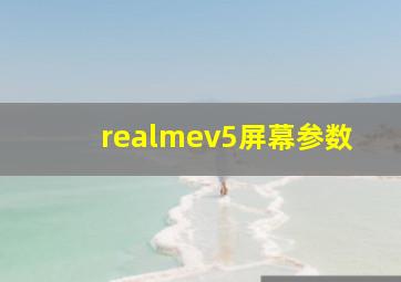 realmev5屏幕参数