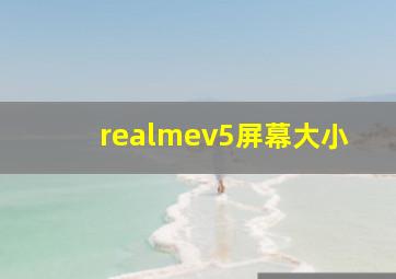 realmev5屏幕大小