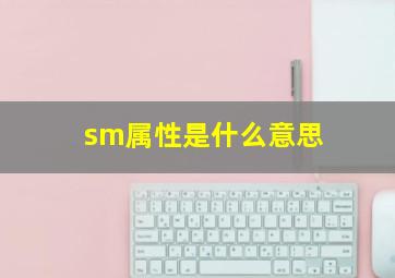 sm属性是什么意思