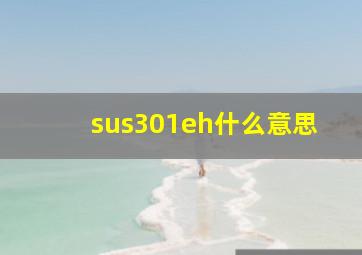 sus301eh什么意思