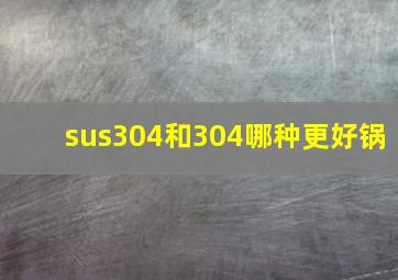 sus304和304哪种更好锅