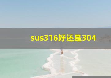 sus316好还是304