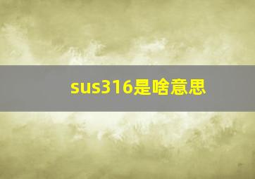 sus316是啥意思