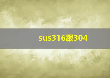 sus316跟304