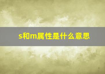 s和m属性是什么意思