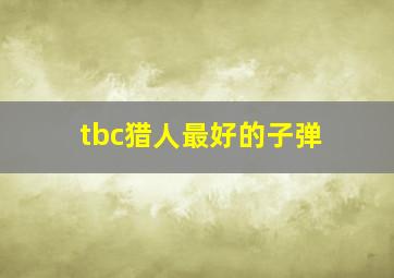 tbc猎人最好的子弹