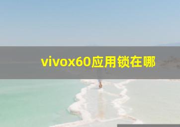 vivox60应用锁在哪