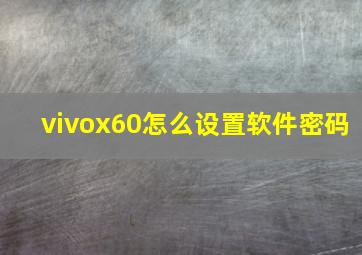 vivox60怎么设置软件密码