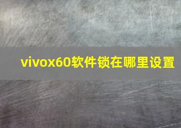 vivox60软件锁在哪里设置