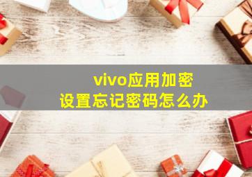 vivo应用加密设置忘记密码怎么办