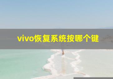 vivo恢复系统按哪个键