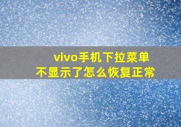 vivo手机下拉菜单不显示了怎么恢复正常