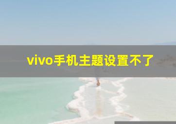 vivo手机主题设置不了