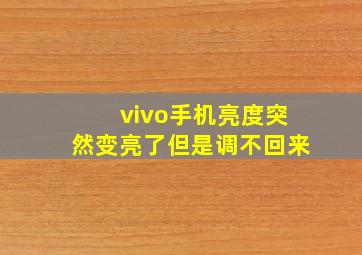 vivo手机亮度突然变亮了但是调不回来