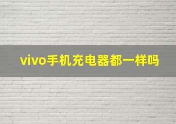 vivo手机充电器都一样吗