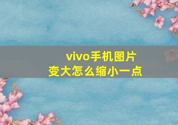 vivo手机图片变大怎么缩小一点