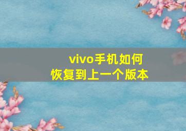 vivo手机如何恢复到上一个版本