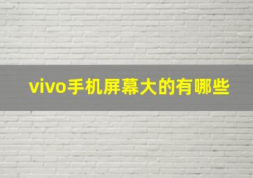 vivo手机屏幕大的有哪些