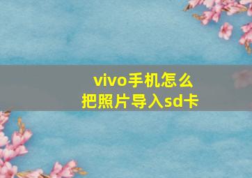 vivo手机怎么把照片导入sd卡