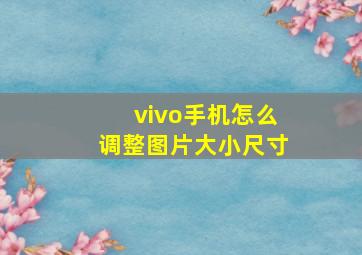 vivo手机怎么调整图片大小尺寸