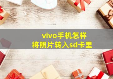 vivo手机怎样将照片转入sd卡里