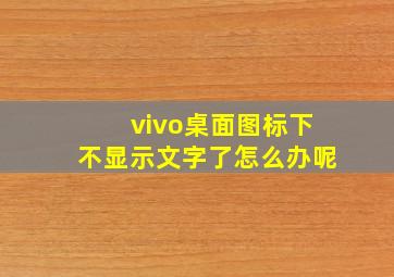 vivo桌面图标下不显示文字了怎么办呢