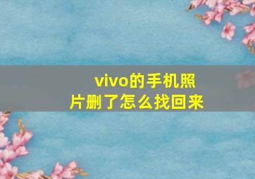 vivo的手机照片删了怎么找回来