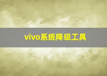 vivo系统降级工具