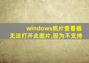 windows照片查看器无法打开此图片,因为不支持