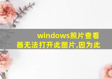 windows照片查看器无法打开此图片,因为此