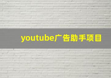 youtube广告助手项目