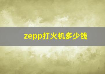 zepp打火机多少钱