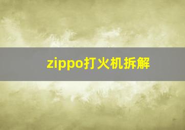 zippo打火机拆解