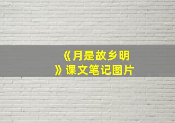 《月是故乡明》课文笔记图片