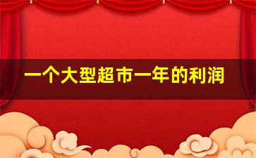 一个大型超市一年的利润