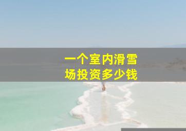 一个室内滑雪场投资多少钱