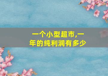 一个小型超市,一年的纯利润有多少