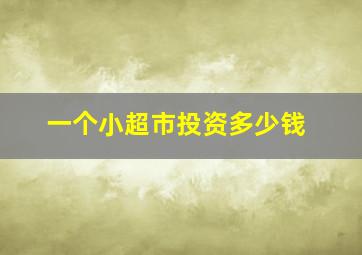 一个小超市投资多少钱