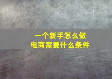 一个新手怎么做电商需要什么条件