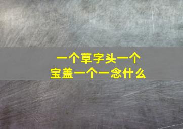 一个草字头一个宝盖一个一念什么